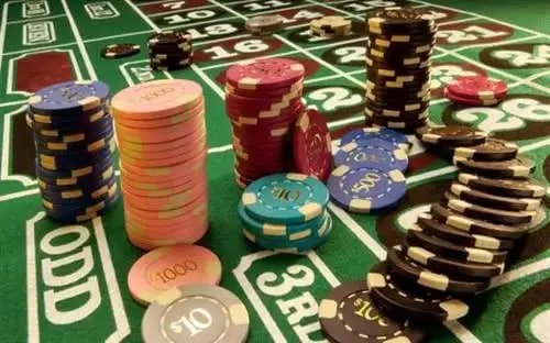 Tampilan studi kasus opaltogel di beranda